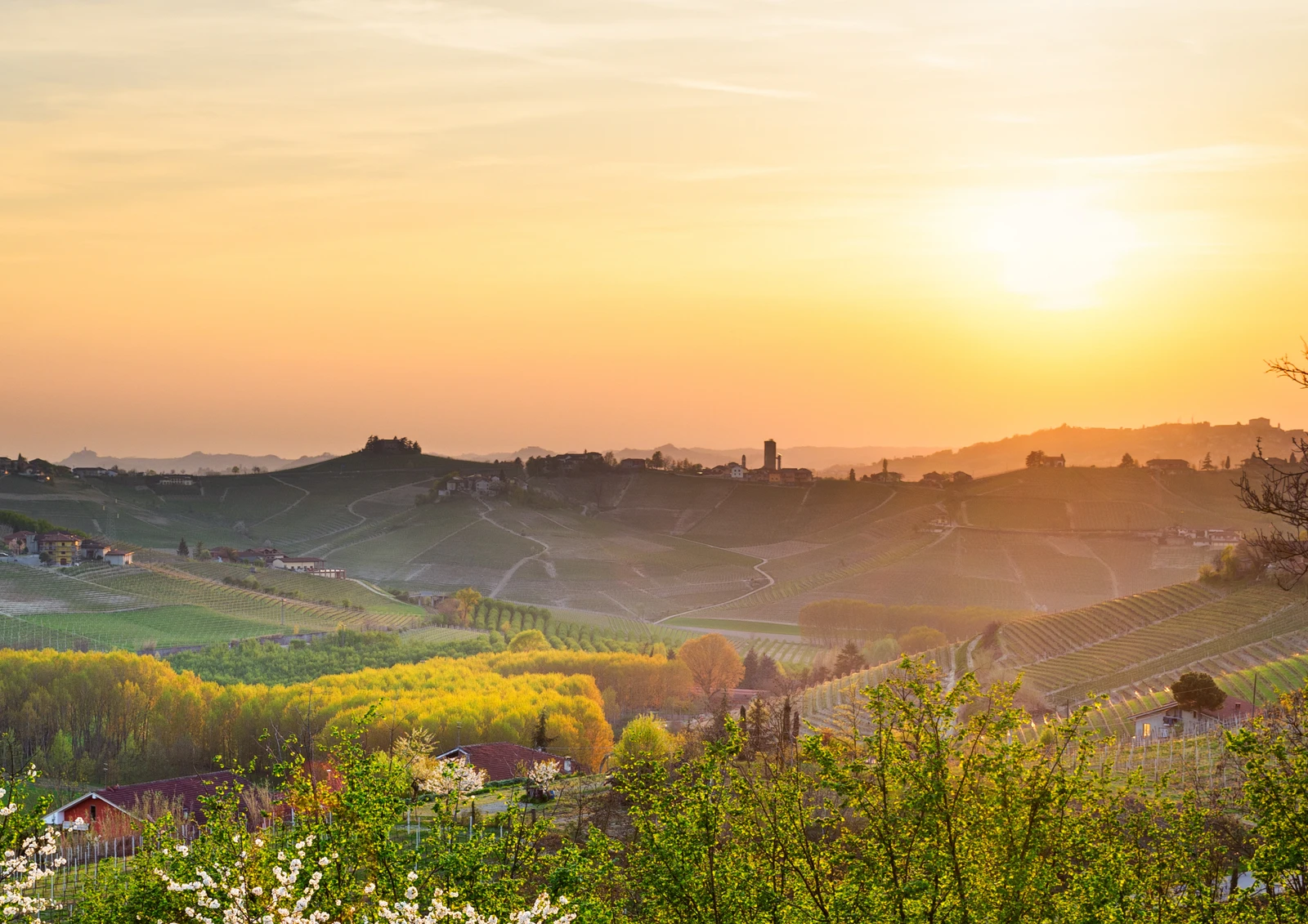 BARBARESCO